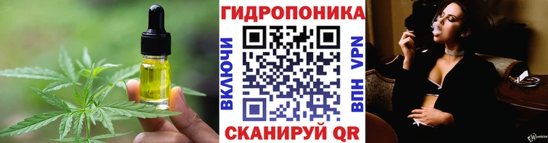 Cannafood марихуана  MEGA как зайти  Закаменск 