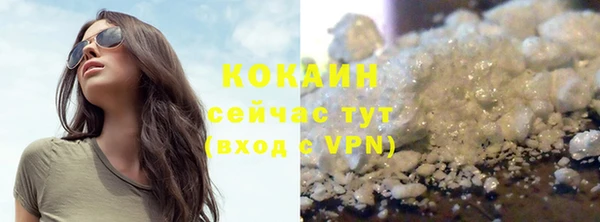 крисы Аркадак