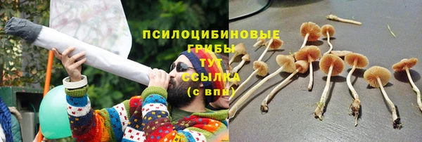 мяу мяу мука Арсеньев