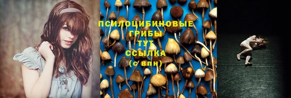 дурь Армянск