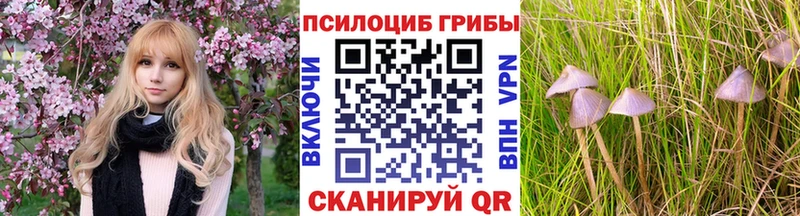 Галлюциногенные грибы Cubensis  Закаменск 